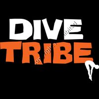 TEC  74C DV Thumbnail