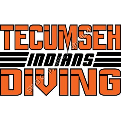 TEC  246C DV Thumbnail