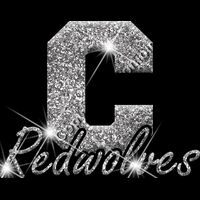 GLT61 SILVER GLITTER Thumbnail