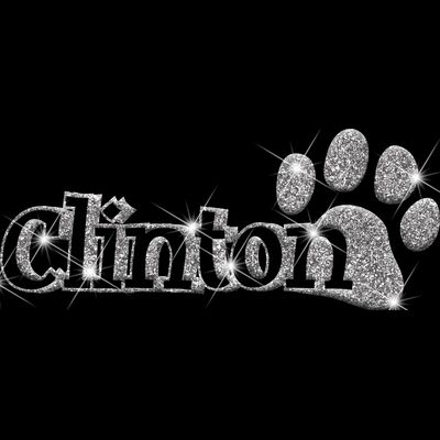 GLT17 SILVER GLITTER Thumbnail